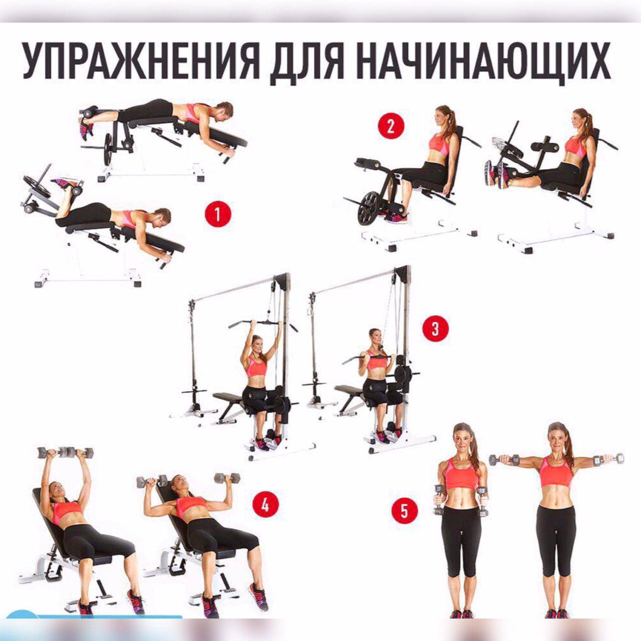 Базовые упражнения в тренажерном зале: топ 10 упражнений с фото и видео