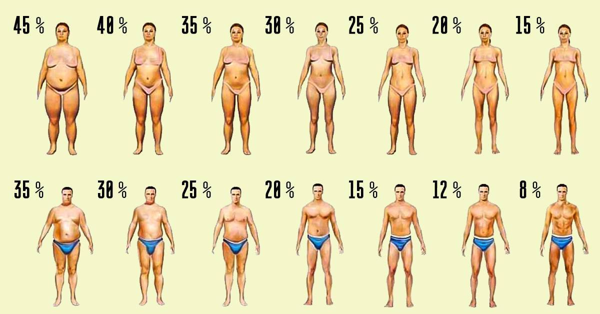 Зожник |   как измерить процент жира в организме