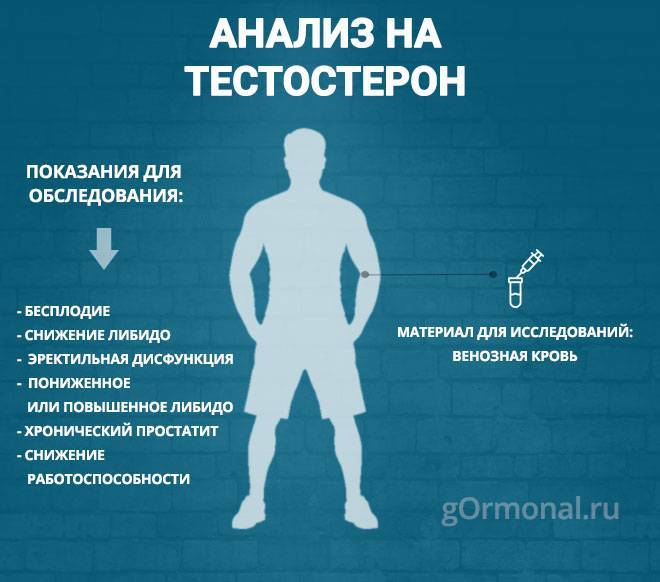 ➤ как занятия спортом влияют на уровень тестостерона у мужчин и как спорт влияет на либидо