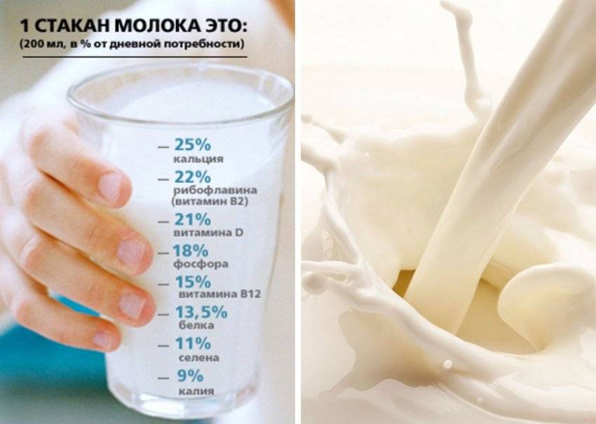 Худеем правильно: можно ли молоко при похудении?