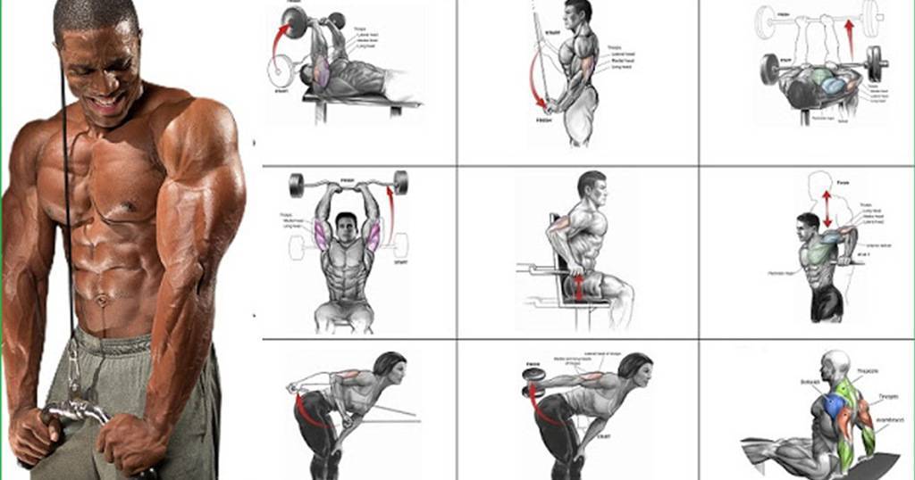 Упражнения на трицепс в тренажерном зале для мужчин с эффективными тренировками