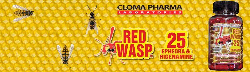 Red wasp 25 от cloma pharma