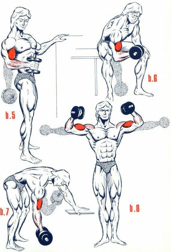 Как накачать мышцы?