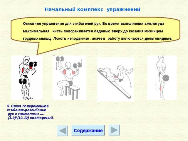 Гимнастика, комплексы гимнастических упражнений: оздоровительные гимнастические упражнения
