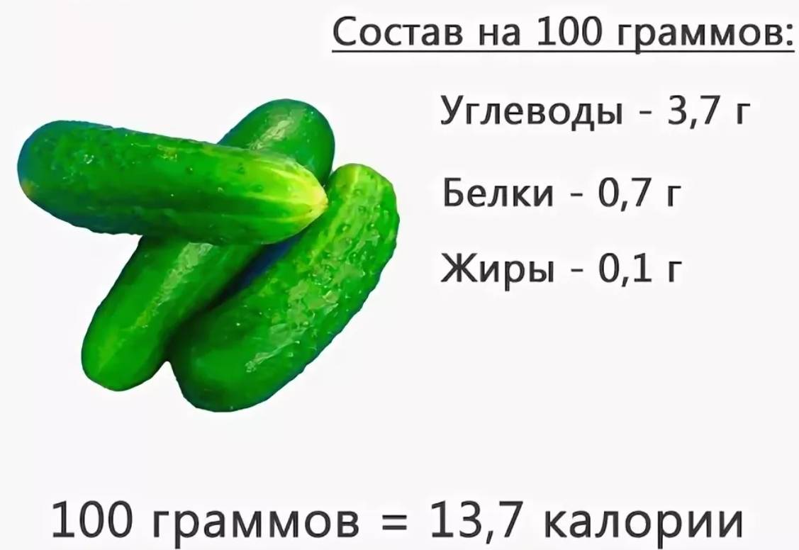 Сколько калорий в огурце. Огурец белки жиры углеводы калорийность. Энергетическая ценность огурца свежего. Калорийность огурца свежего на 100 грамм. Сколько ккал в свежем огурце в 100.