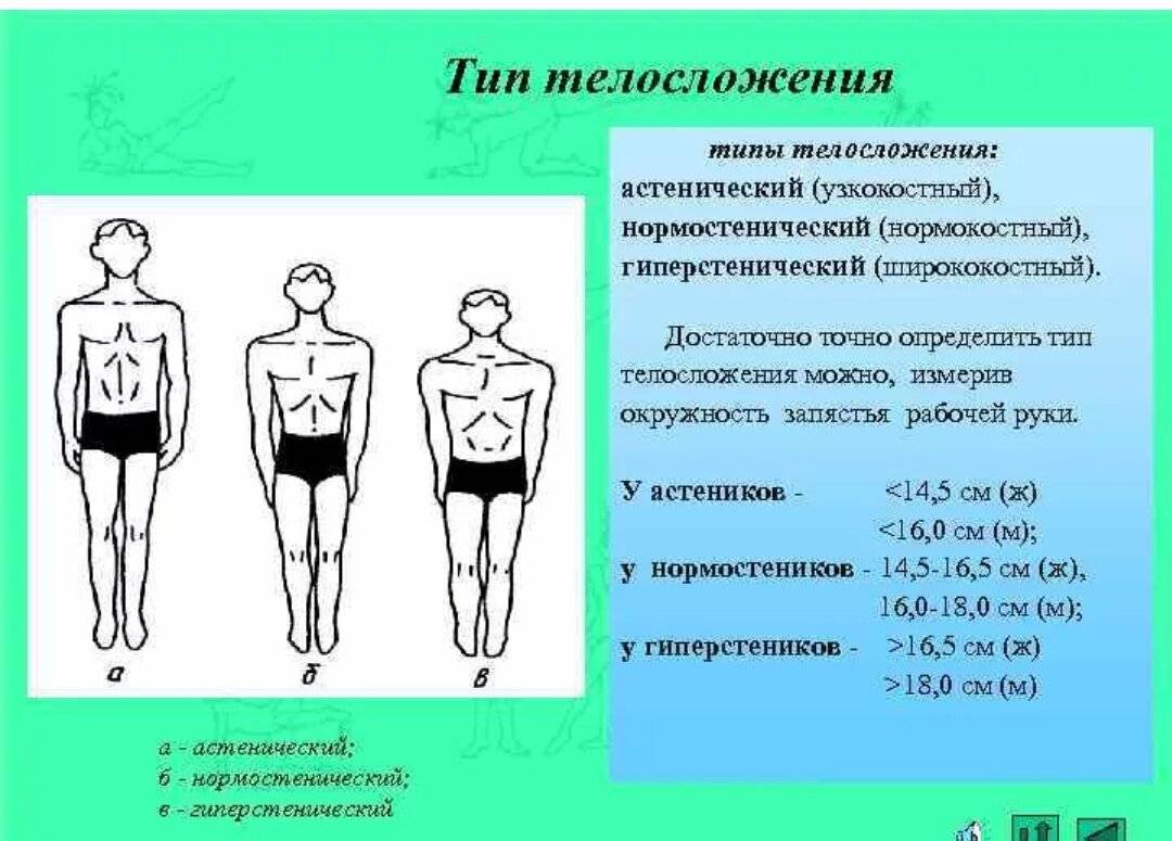 Для описания женских типов телосложения наиболее приемлема схема