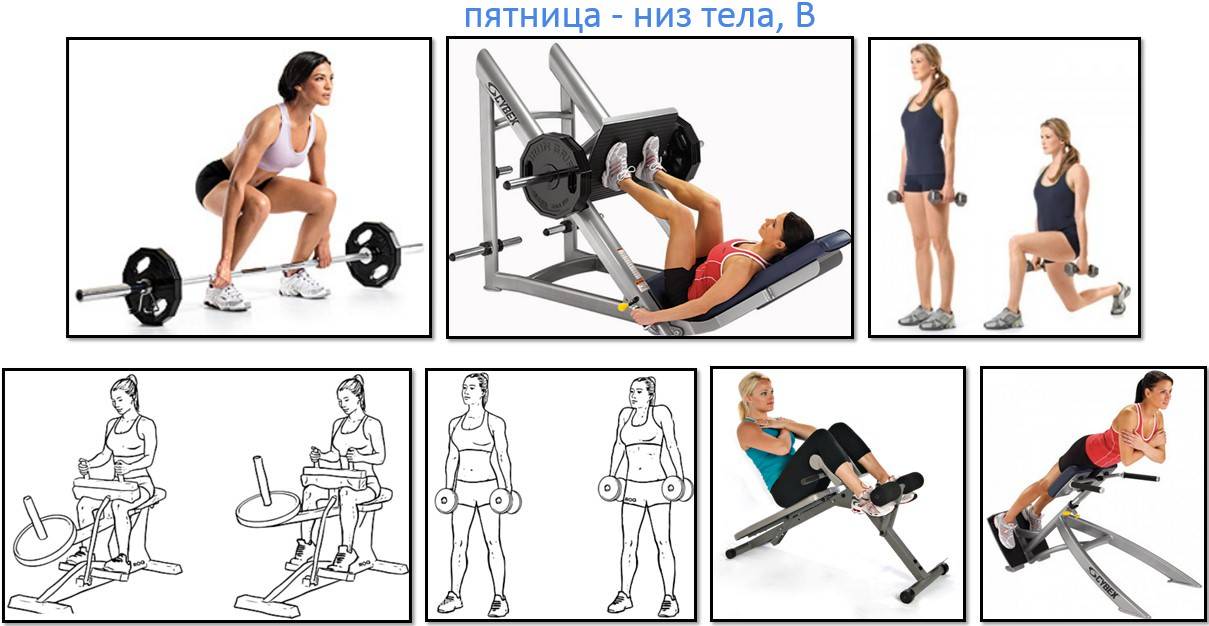 Упражнения для ягодиц в тренажерном зале: эффективные тренировки для девушек | irksportmol.ru