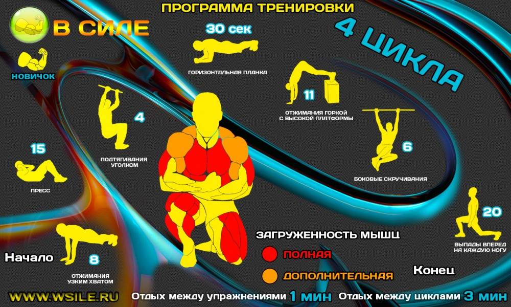 Кроссфит программа тренировок - упражнения и комплексы в союз sport