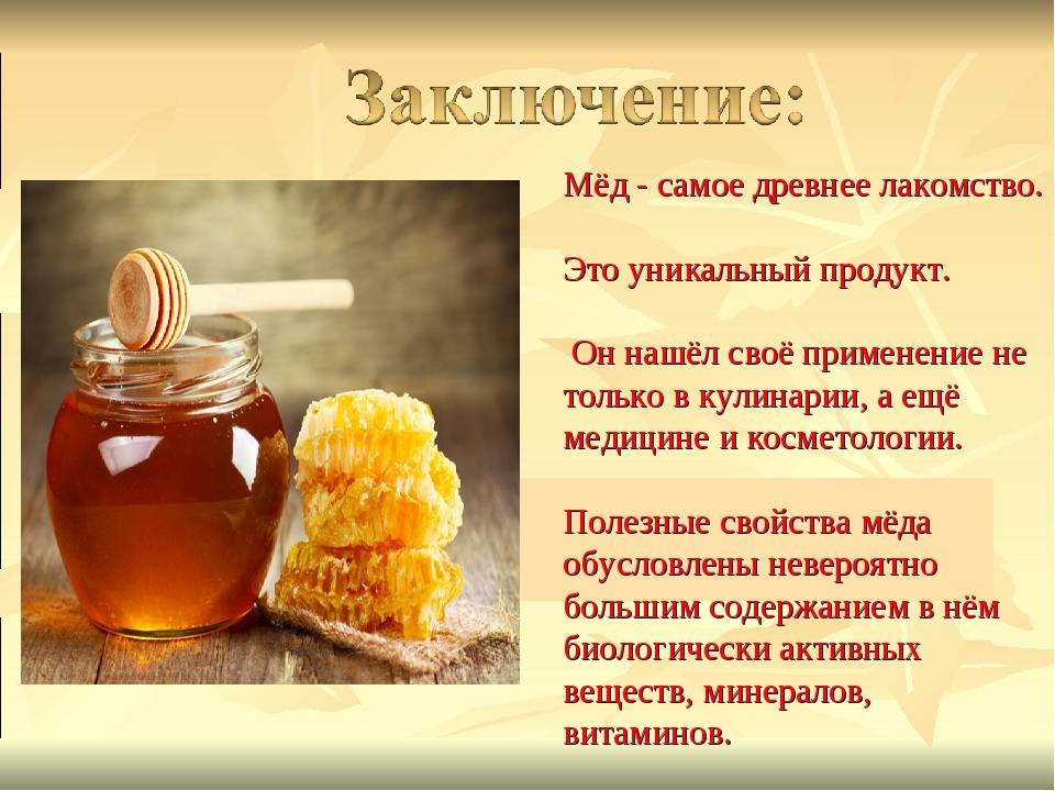 Мёд: польза и вред, свойства, калорийность