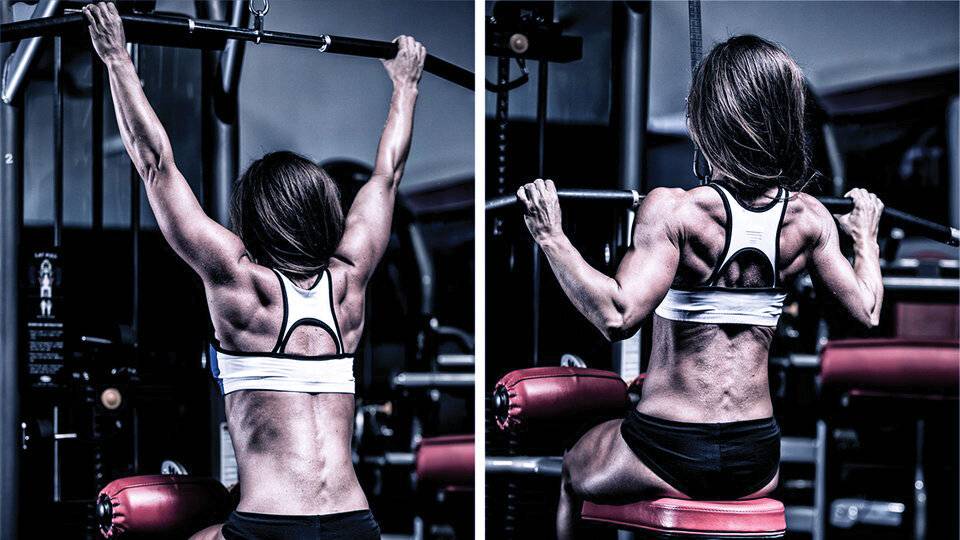 Тренировка верхней части тела для женщин: составляем тренировочные программы. • bodybuilding & fitness