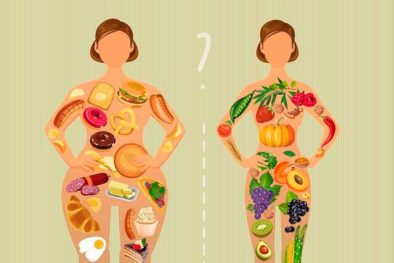 Почему от жира не толстеют? Мы есть то, что мы едим. Вредные и полезные жиры.
