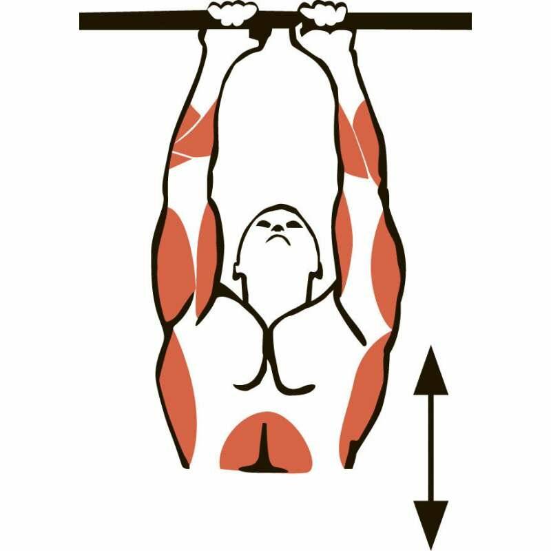 Подтягивание параллельным хватом: какие мышцы работают, техника выполнения и результаты