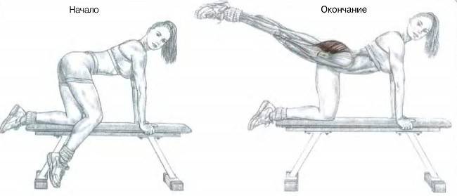 Выпады назад: техника выполнения каждой ногой для девушек и мужчин