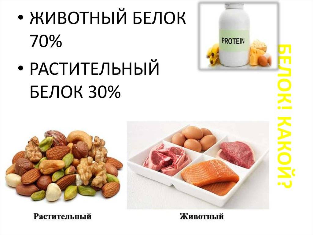 Растительные и животные белки - в чем отличия?
