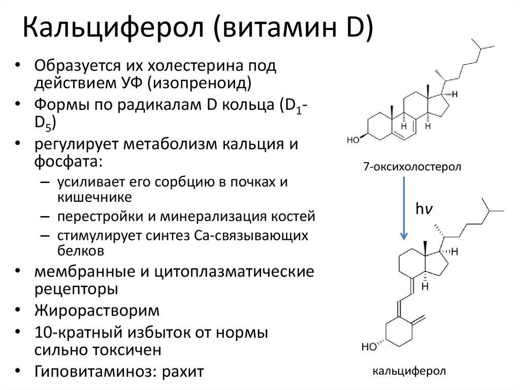 Витамин d2