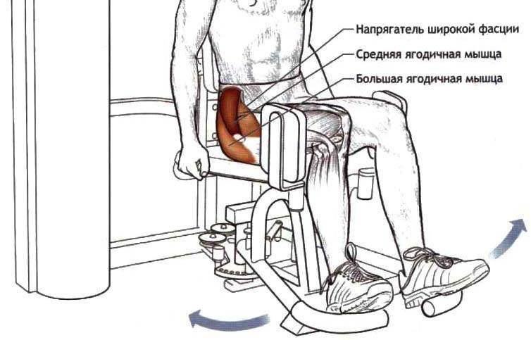 Сведение ног в тренажере: техника выполнения, какие мышцы работают