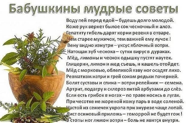 Болезни полости рта: грибковые и вирусные, методы лечения и их профилактика
