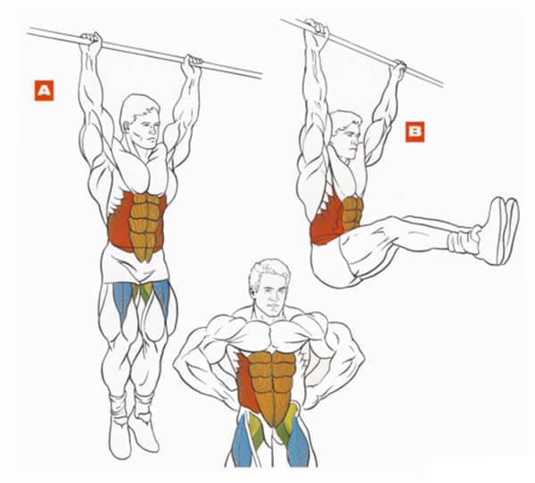 Как накачать грудные мышцы | musclefit
