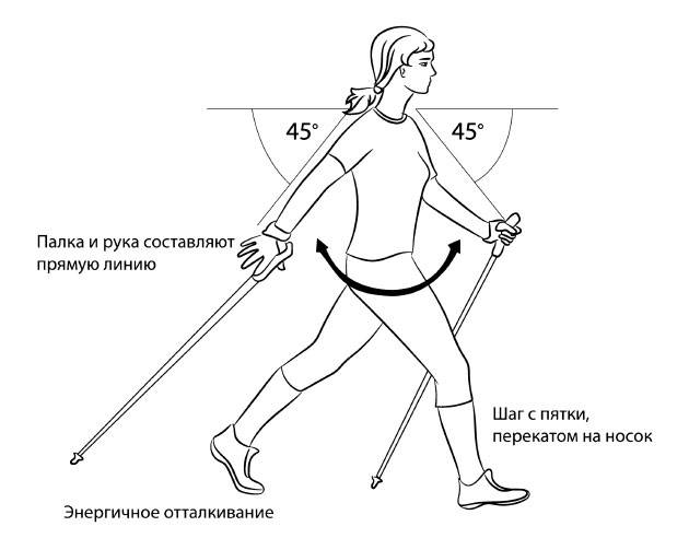 Техника скандинавской ходьбы - инструкция начинающему