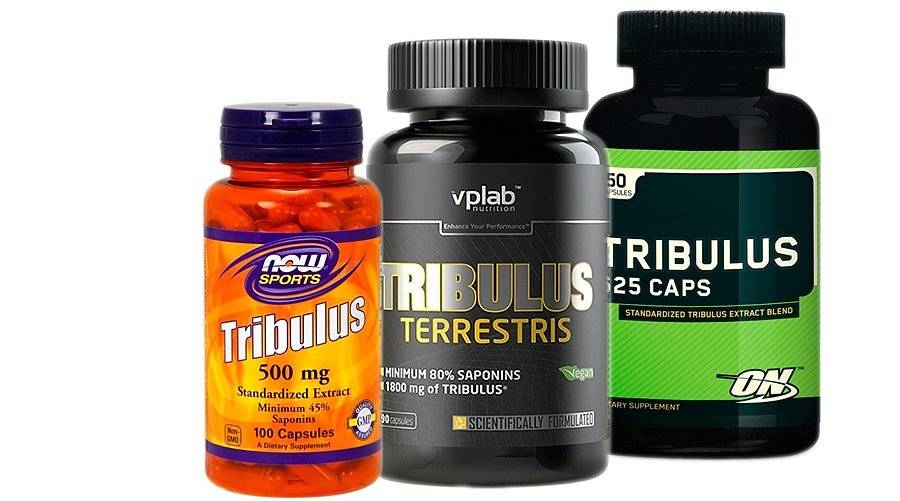 Трибулус террестрис (tribulus terrestris): как принимать, эффект для мужчинам, инструкция по применению
