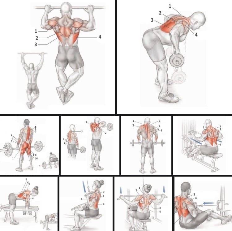 Подъем на стул упражнение: упражнение подъем на стул – тренировка со стулом. гимнастика для всех групп мышц | секреты красоты