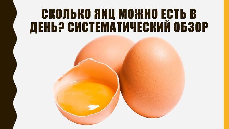 Сколько в день можно есть яиц: от детей до спортсменов