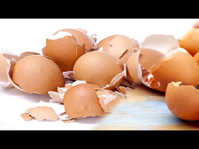 Скорлупа от яиц при артрозе эффективность, рецепты