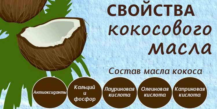 Кокос – польза, вред и состав