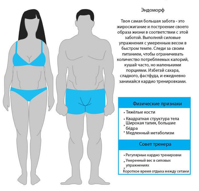 Твой тип телосложения: эктоморф, мезоморф или эндоморф? - статьи о спорте и питании, здоровье, диеты на gym.in.ua