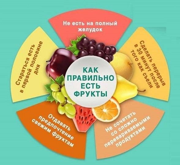 Можно ли есть фрукты сразу после еды или когда лучше есть фрукты без вреда для здоровья
