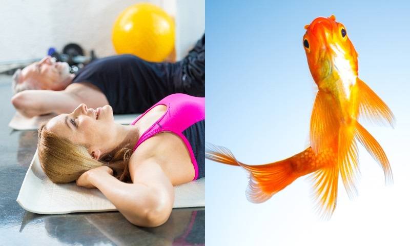 Упражнение “золотая рыбка” для позвоночника кацудзо ниши
