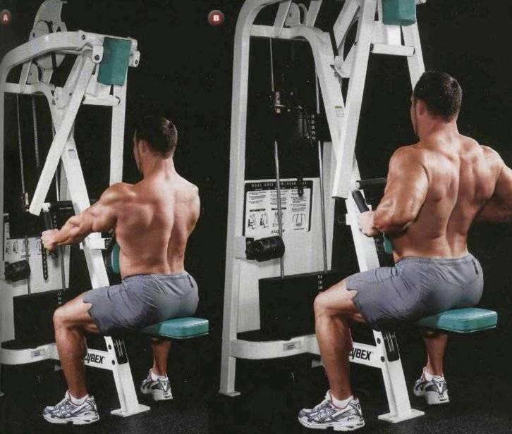 Тренажеры для спины — как укрепить и накачать мышцы спину в тренажерах