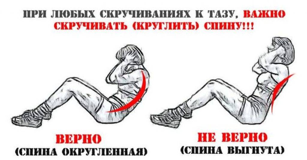 Как накачать пресс ✔ анатомия брюшных мышц и лучшие упражнения