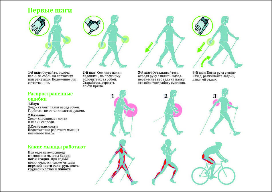 Как правильно заниматься ходьбой, чтобы похудеть. ходьба для похудения: спортивная, скандинавская, длительные прогулки
