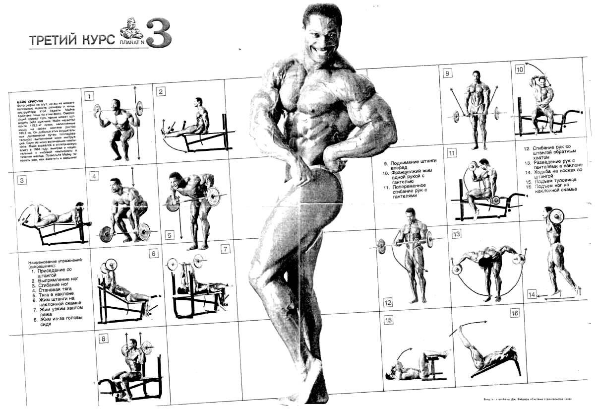 Базовые упражнения для набора мышечной массы | бомба тело