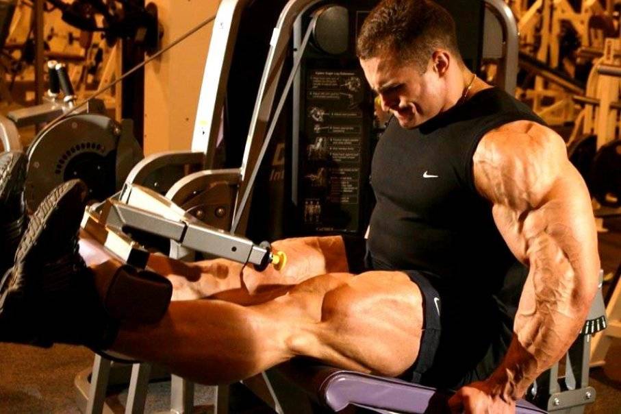 Как вернуть утраченные мышцы после длительного отсутствия тренировок