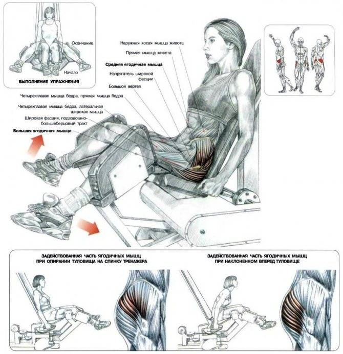 Как правильно делать разведение ног в тренажере сидя?
