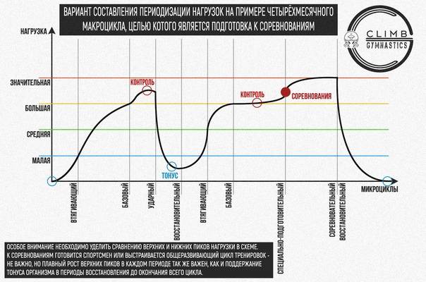 Циклирование в бодибилдинге
