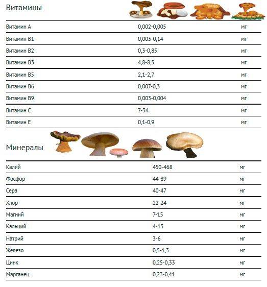 Переваривание грибов - о вашем здоровье