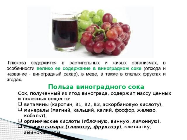 Виноград это ягода или фрукт — как правильно называть и как выращивать виноград (110 фото)
