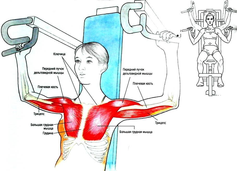 Жим в тренажере на плечи