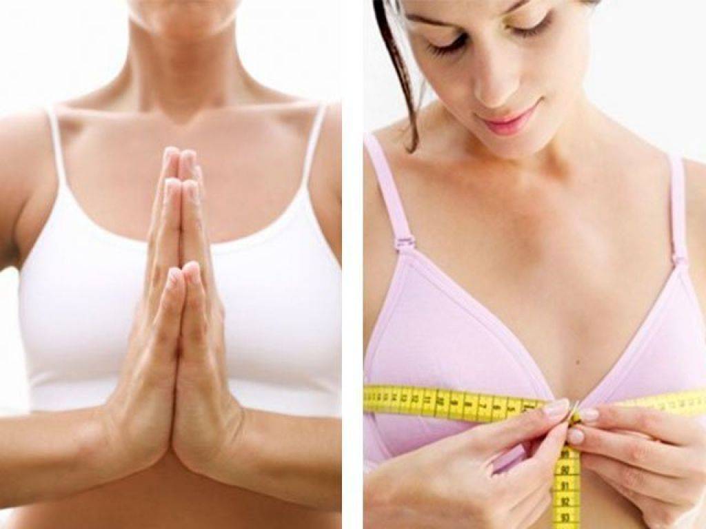 Упражнения для увеличения груди: домашний комплекс, советы