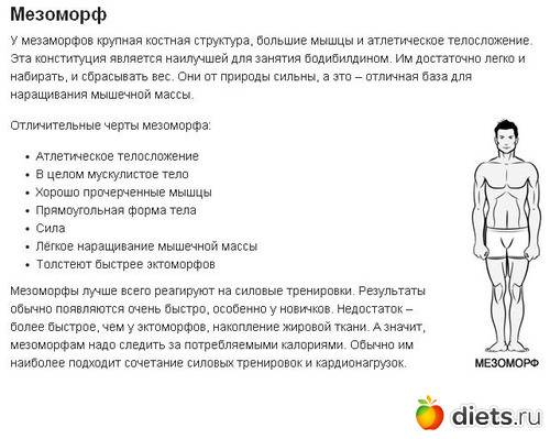 Питание эндоморфа для похудения и набора мышечной массы