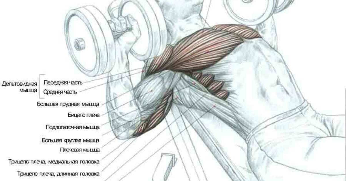 7 способов прокачать верх грудных мышц