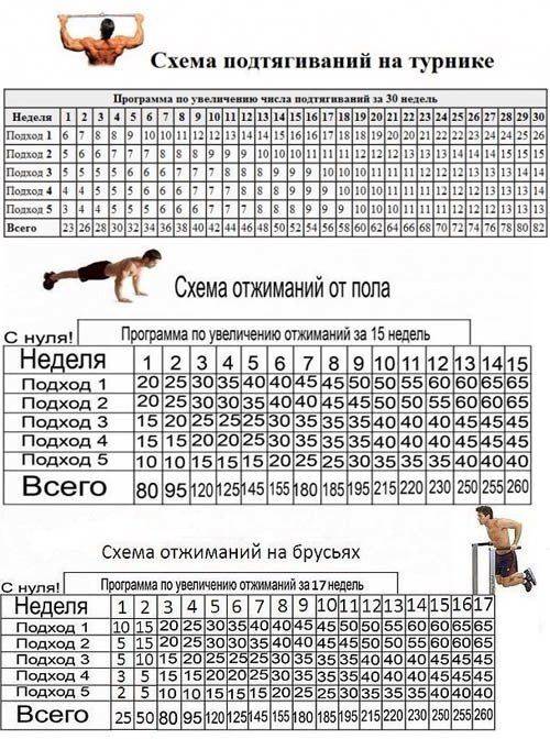 Схема отжимания от пола для роста мышц