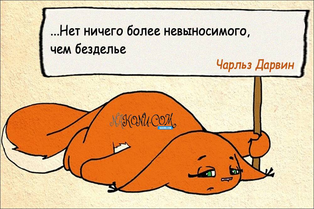 Нет лени картинки