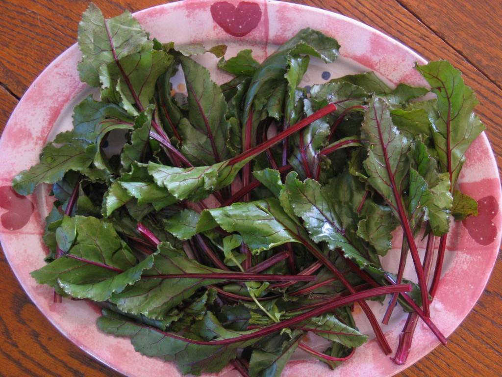 Салат листья свеклы рецепт