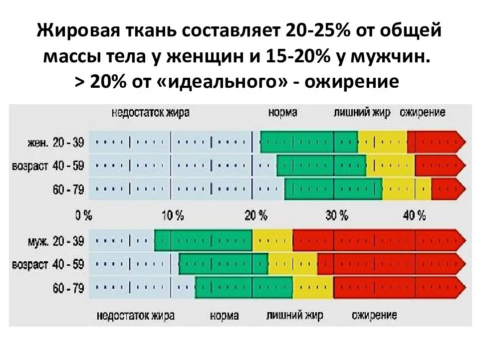 Снижение веса тела за счет жирового компонента презентация