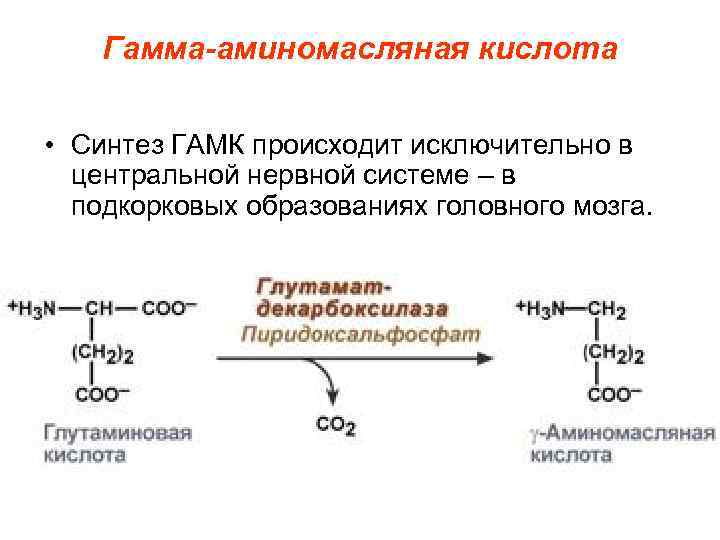 Гамк гамма аминомасляная кислота. Синтез гамма аминомасляной кислоты. Получение гамма аминокислот. Глутамат в гамма аминомасляная кислота. Биологическая роль гамма аминомасляной кислоты биохимия.