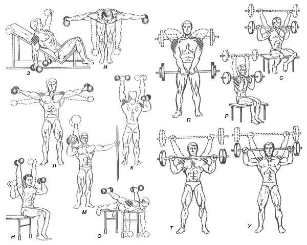 Упражнения на плечи для мужчин - лучший комплекс эффективных упражнений с фото и видео. список рекомендуемых упражнений от инструктора!